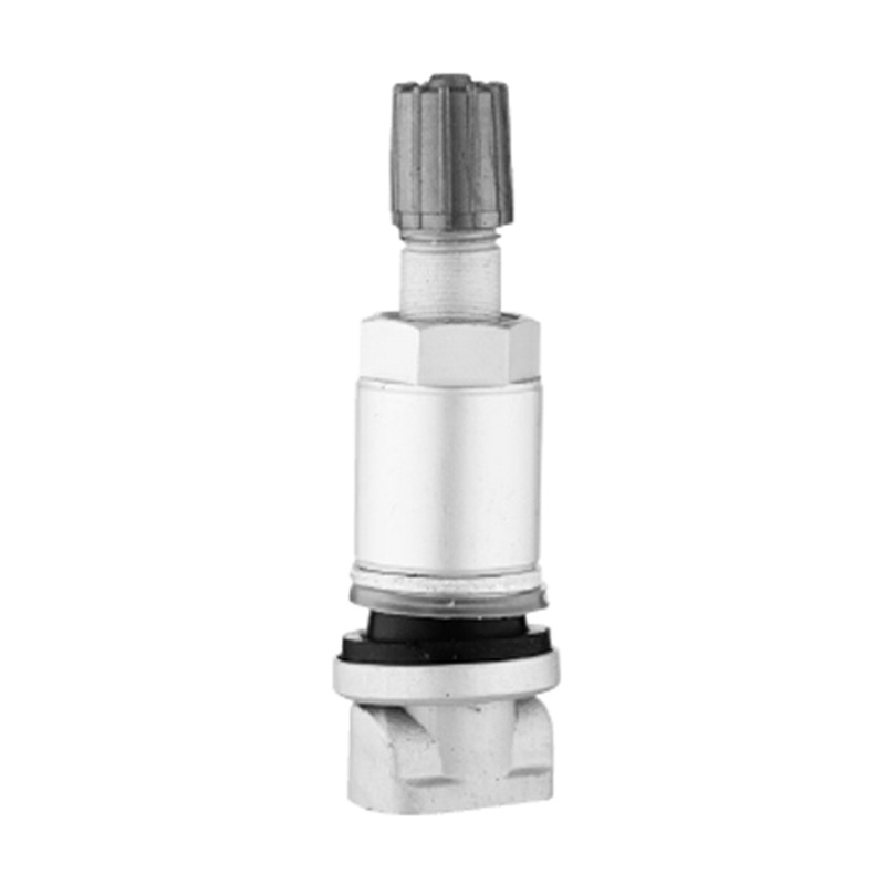 TPMS Valvulae-TPMS-01