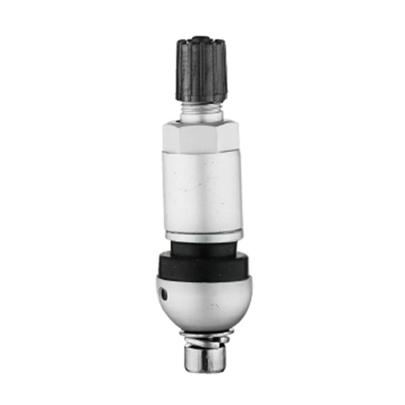 TPMS Valvulae-TPMS-02