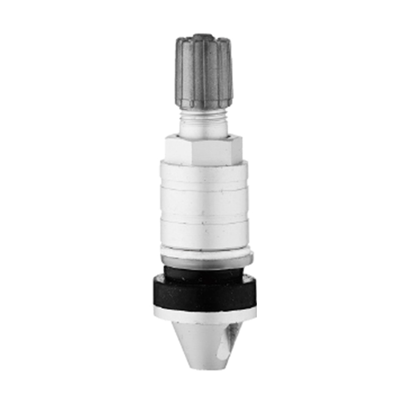 TPMS Valvulae-TPMS-03