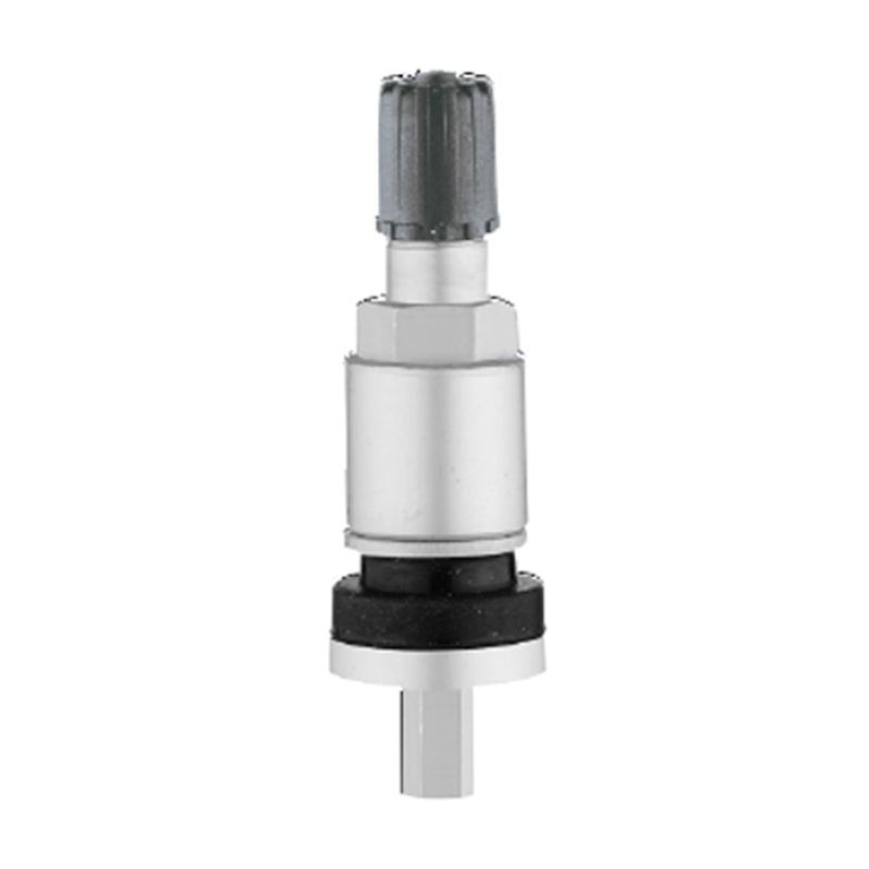 TPMS Valvulae-TPMS-04B