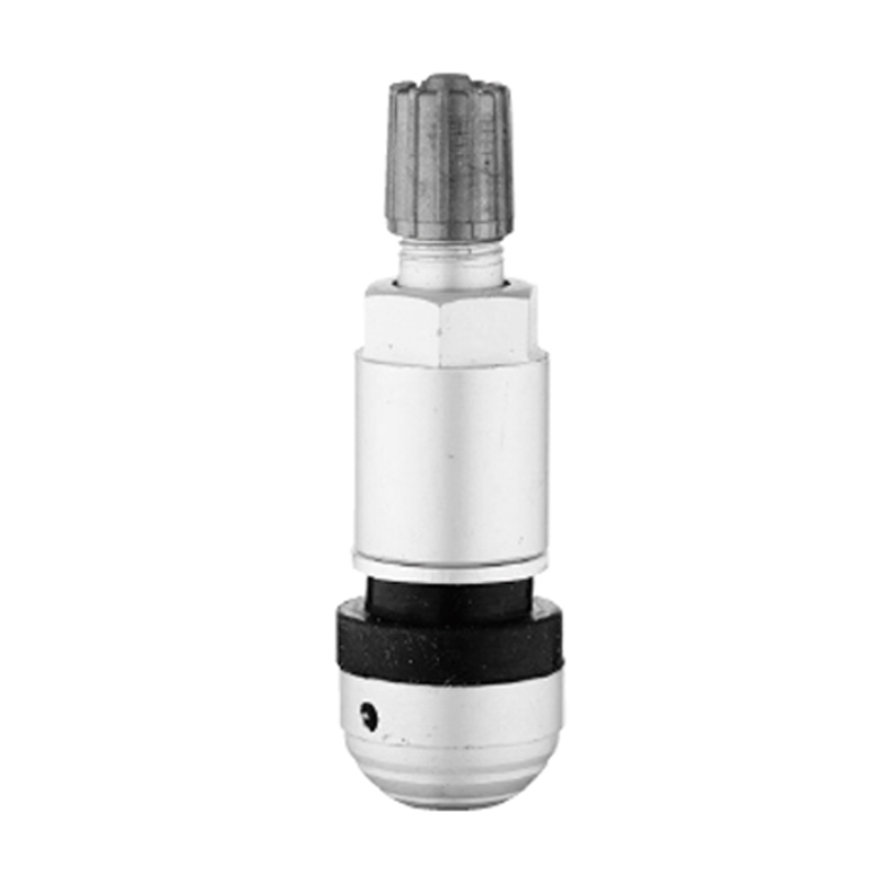 TPMS Valvulae-TPMS-09