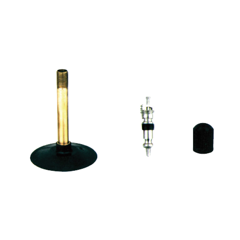 Bicycle & Motorcycle Tube Valves-TR-87(Rectus)