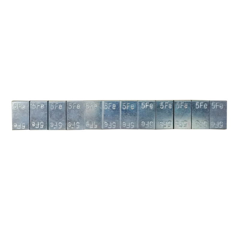 Fe Tenax Rota Ponderibus-EW-3102Z